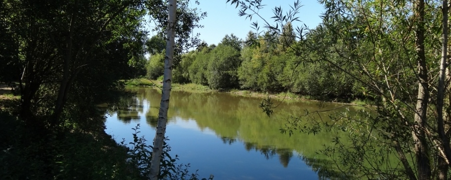 Saint-Baudelle saint-baudelle plan d'eau